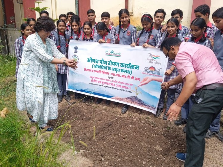 केंद्रीय विद्यालय हमीरपुर में औषध पौधारोपण कार्यक्रम का आयोजन