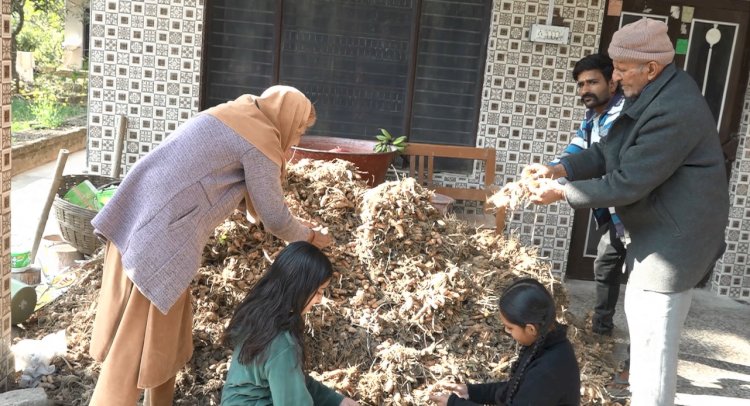 प्राकृतिक खेती में है बड़ी कमाई, रिटायर्ड प्रिंसिपल ने कई क्विंटल हल्दी उगाई