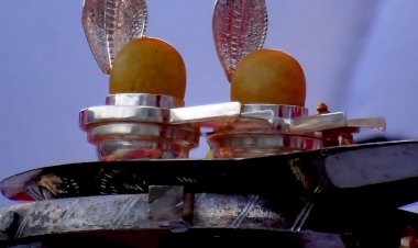 हमीरपुर में होंगे 1000 वर्ष प्राचीन सोमनाथ ज्योतिर्लिंग के दिव्य दर्शन