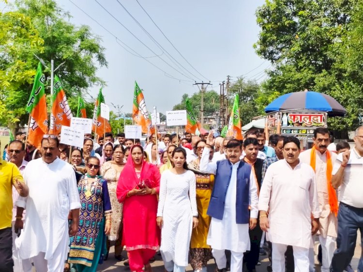 सुजानपुर नगर परिषद चुनाव पर बवाल: गुप्त मतदान की जगह हाथ उठवाकर कराया चुनाव, लोकतंत्र की हत्या हुई — राजेंद्र राणा