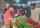 अमेजॉन फ्रेश से जुड़े हमीरपुर के किसान, सफल रहा पहला ट्रायल