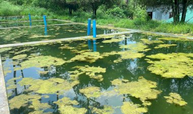 ग्रामीण दूषित पानी पीने को मजबूर, जल शक्ति विभाग ने आँखें मूँदीं