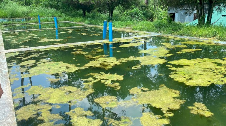 ग्रामीण दूषित पानी पीने को मजबूर, जल शक्ति विभाग ने आँखें मूँदीं