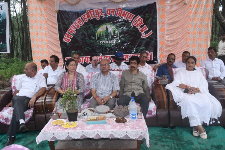 उखली में मनाया गया 77वां वन महोत्सव, सुनील शर्मा बिट्टू ने किया पौधारोपण