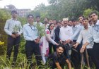 ज्योत्सना आईटीआई लोहारीं के प्रशिक्षुओं ने किया पौधारोपण