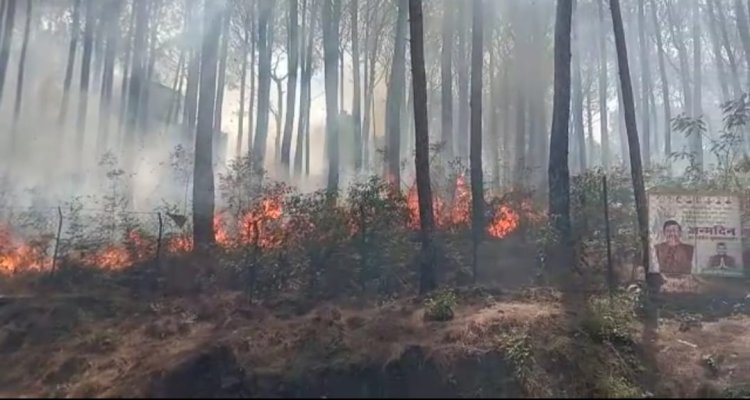 हमीरपुर जिला मुख्यालय के साथ लगते जंगल में लगी भयानक आग