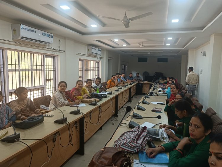 पंचायत समिति हमीरपुर के सभागार कक्ष में आपदा प्रबंधन कार्यशाला का किया आयोजन