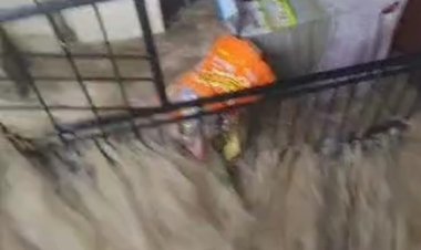 भारी बारिश का पानी घरों में घुसने से वार्ड नंबर तीन के लोग पेरशान, लाखो का हुआ नुकशान