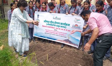 केंद्रीय विद्यालय हमीरपुर में औषध पौधारोपण कार्यक्रम का आयोजन