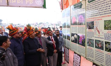 वन संरक्षण की एवज में हिमाचल को मुआवजा राशि दे केंद्र: मुकेश अग्निहोत्री
