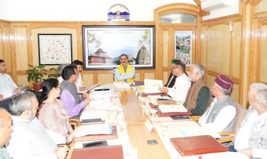 मुख्यमंत्री ने वन निगम को अपने डिपो में रखी ईमारती लकड़ी की निस्तारण प्रक्रिया में तेजी लाने के निर्देश दिए