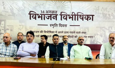 विभाजन से पहले ही सभी को अंदाजा था कि बड़े स्तर पर सांप्रदायिक दंगे हो सकते हैं, रोकने के प्रयास नहीं किये गये : बिहारी