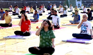 शूलिनी विश्वविद्यालय योग  समारोह की मेजबानी करेगा