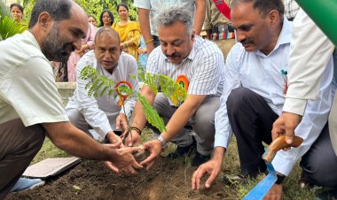 रोहित ठाकुर ने ब्वायज स्कूल परिसर में किया पौधारोपण