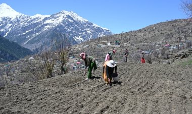 पांगी को राज्य का पहला प्राकृतिक खेती उप-मंडल अधिसूचित करने पर सरकार की लोगों ने की सराहना