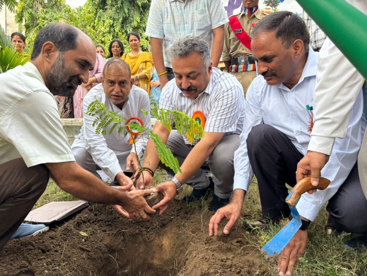 रोहित ठाकुर ने ब्वायज स्कूल परिसर में किया पौधारोपण