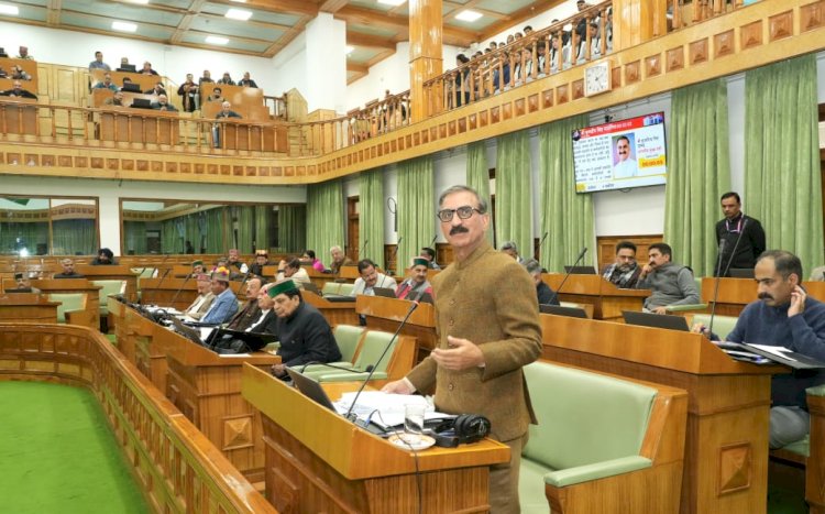 देवभूमि में चिट्टा माफिया के लिए कोई स्थान नहीं, सूचना देने वाले को किया जाएगा पुरस्कृत: मुख्यमंत्री