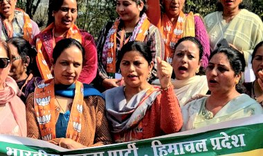 AI समिट के हुड़दंगियों का बचाव शर्मनाक: कमलेश कुमारी