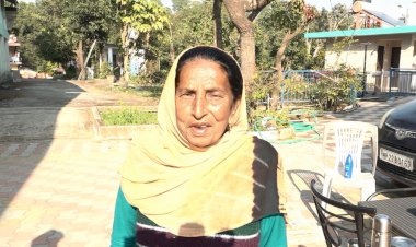 रिटायर्ड टीचर शीला देवी ने प्राकृतिक खेती से उगाया कई क्विंटल आलू