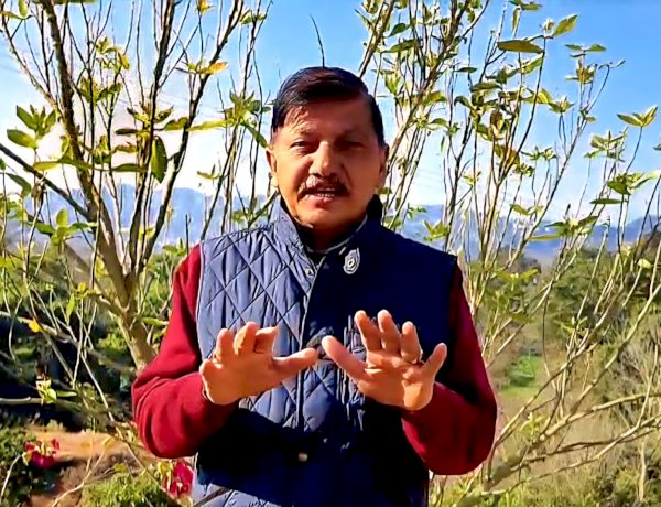 सुक्खू सरकार ने हिमाचल को कंगाली के कगार पर पहुंचाया : राजेंद्र राणा