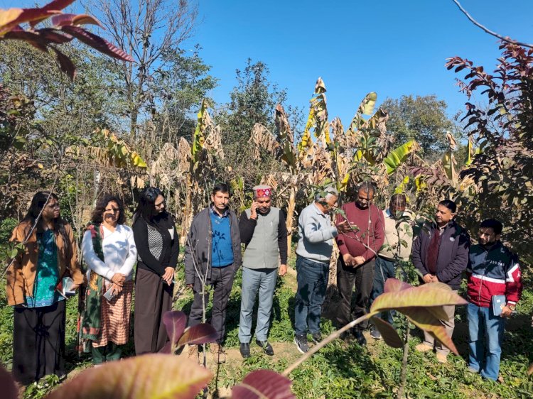 किसानों-बागवानों के हित में मुख्यमंत्री ने लिए सराहनीय निर्णय : अजय शर्मा