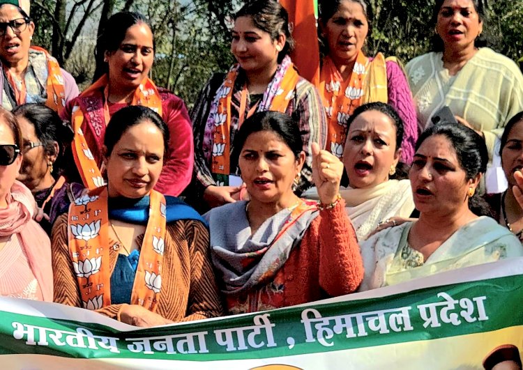 AI समिट के हुड़दंगियों का बचाव शर्मनाक: कमलेश कुमारी