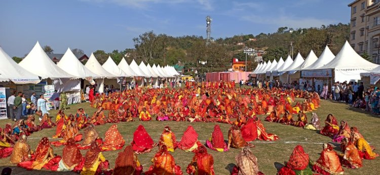 होली उत्सव में दिख रही हमीरपुर की लोक संस्कृति की शानदार झलक