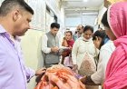 भोरंज को झकझोर गया हादसा: गारली-धबढ़ियाना के पास कार खाई में गिरी, दो की मौत-दो घायल; राजीव राणा ने पहुंचकर जताया शोक