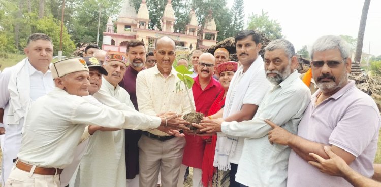 सुकराला में प्राकृतिक खेती कार्यशाला बनी आकर्षण का केंद्र, भाजपा पदाधिकारियों ने प्रगतिशील किसान प्रकाश चंद के खेतों का किया भ्रमण