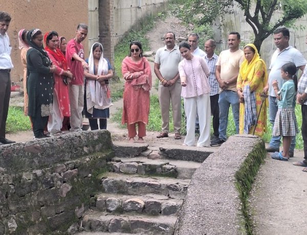 डीसी गंधर्वा राठौड़ ने बमसन की पंचायतों में लिया विकास कार्यों का जायजा