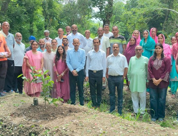 एचपीशिवा परियोजना के नंधन क्लस्टर में शुरू किया अमरूद का पौधारोपण