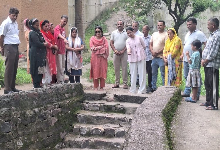 डीसी गंधर्वा राठौड़ ने बमसन की पंचायतों में लिया विकास कार्यों का जायजा
