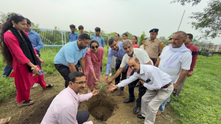 डीसी गंधर्वा राठौड़ ने नादौन की कई पंचायतों में किया विकास कार्यों का निरीक्षण