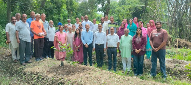 एचपीशिवा परियोजना के नंधन क्लस्टर में शुरू किया अमरूद का पौधारोपण