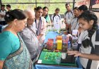 हिम अकादमी पब्लिक स्कूल में इंटरैक्ट एवं रोटरैक्ट क्लब का संयुक्त स्थापना समारोह और वरिष्ठ नागरिक दिवस मनाया गया
