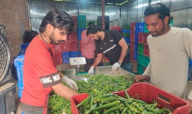 अमेजॉन फ्रेश से जुड़े हमीरपुर के किसान, सफल रहा पहला ट्रायल
