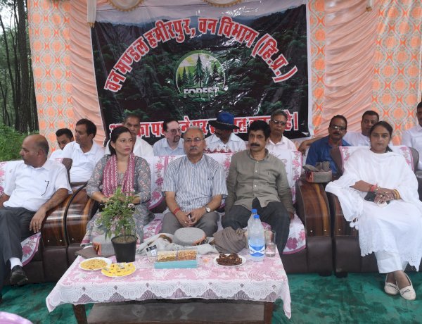उखली में मनाया गया 77वां वन महोत्सव, सुनील शर्मा बिट्टू ने किया पौधारोपण