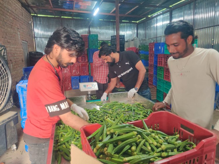 अमेजॉन फ्रेश से जुड़े हमीरपुर के किसान, सफल रहा पहला ट्रायल
