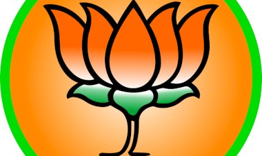 भाजपा परिवहन प्रकोष्ठ में पांचों विधानसभा क्षेत्रों के लिए सह-संयोजकों की नियुक्तियां